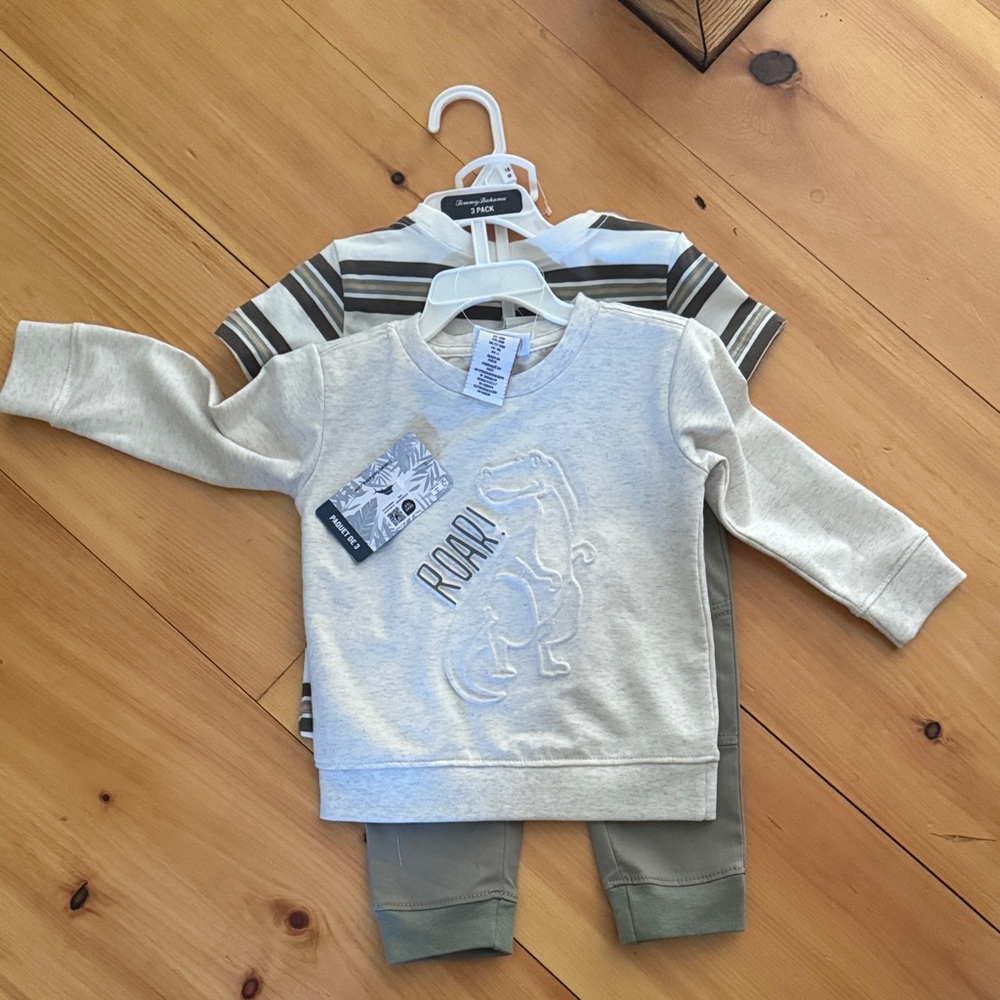 Gray Dinosaur Kids 3 piece set